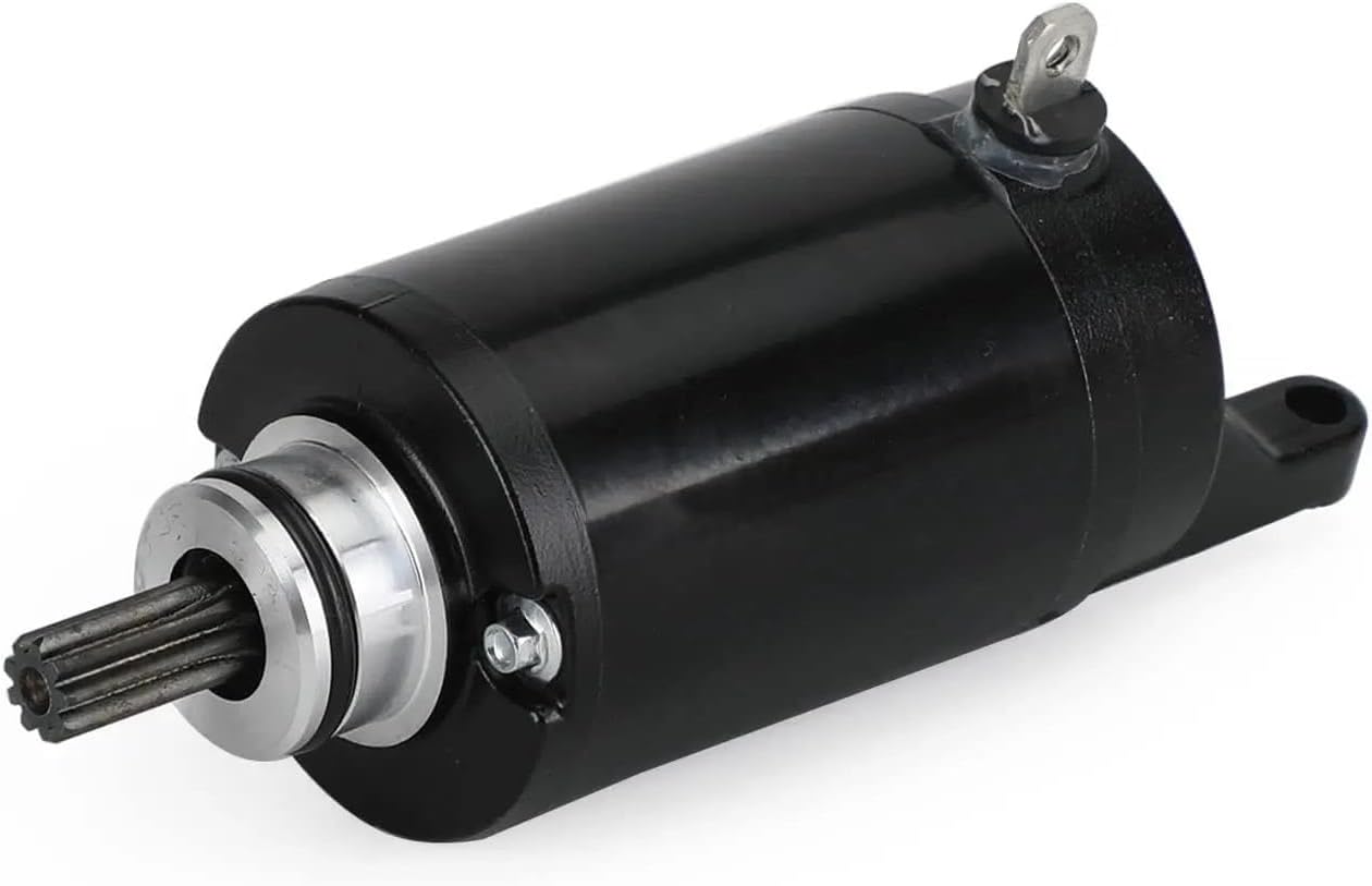 金峰大願九頭馬／稲葉苑舟 掛軸 専用ケース付き 楽天市場】馬 置物